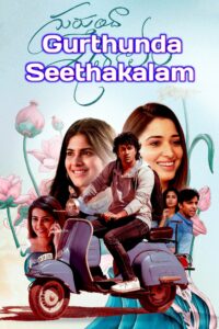 Gurthunda Seethakalam (2022)