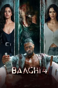 Baaghi 4