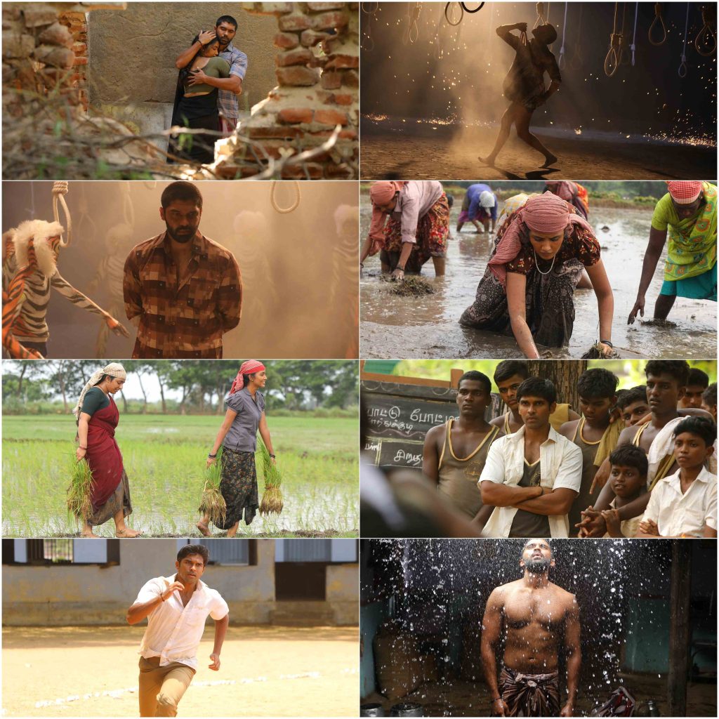 Bison Kaalamaadan (2025)